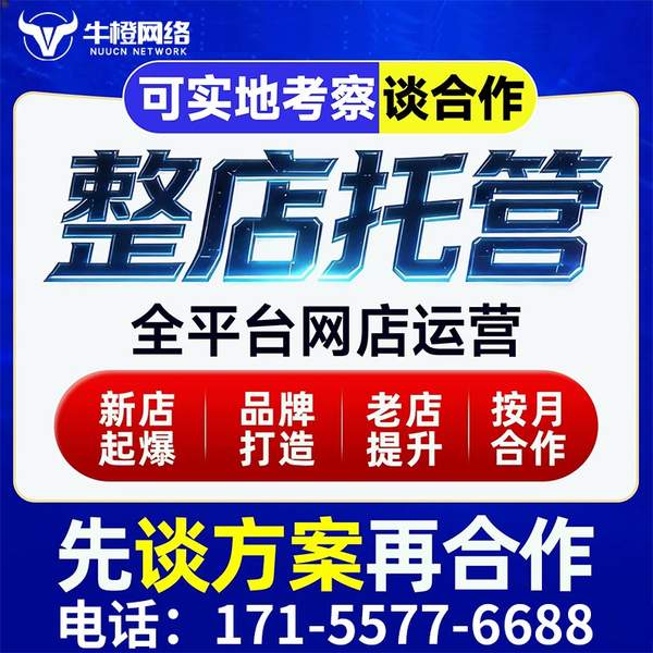 五指山电商代运营