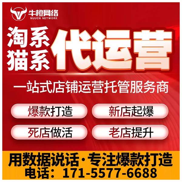 五指山电商代运营